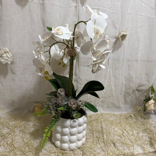 <b>JN DECORACIONES-COLECCIÓN ARREGLOS 2025</b><br/>ARREGLO BASE BURBUJAS CON DOS ORQUIDEAS BLANCAS GEOMETRICA DORADA PEQUENA Y ORQUIDEA MORADA