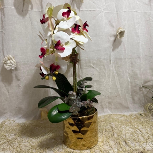 <b>JN DECORACIONES-COLECCIÓN ARREGLOS 2023</b><br/>ARREGLO BASE DORADA GEMOTRICA GRANDE CON ORQUIDEA BLANCA ROSABUSTO MUJER CEMENTO CON SUCULENTAS